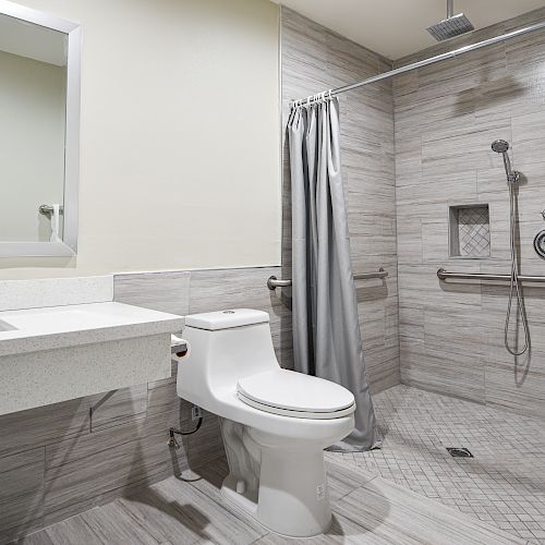 This image shows a modern bathroom with a sink, toilet, and a walk-in shower area with grab bars, a handheld showerhead, and a curtain.